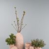 Watermelon - Image 6